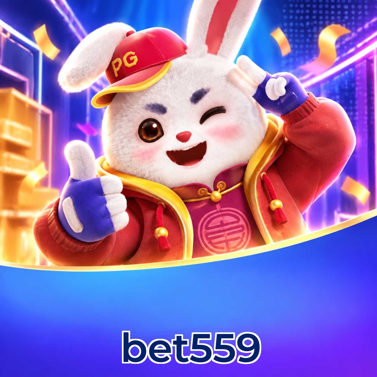 FAQ profissional sobre bônus, saques PIX e segurança da bet559